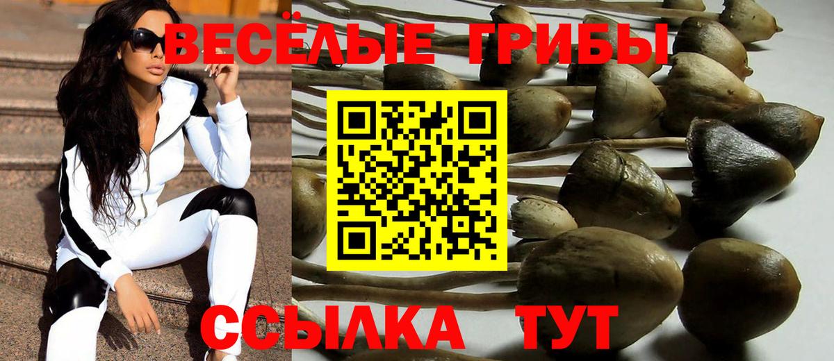 что такое   Галлюциногенные грибы мицелий  Вход с VPN  Галлюциногенные грибы Magic Shrooms  Брянск 